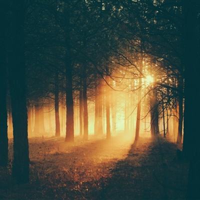 博鱼boyu体育官方网站